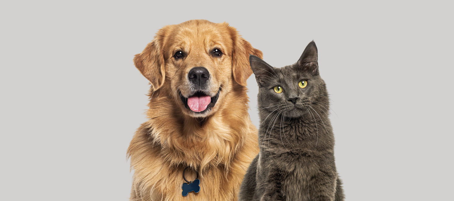 Fido&Felix